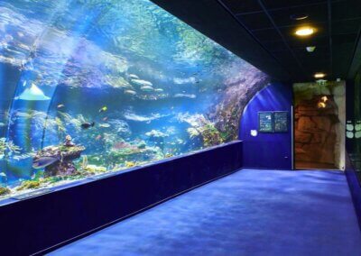 Intérieur de l'aquarium de Biarritz